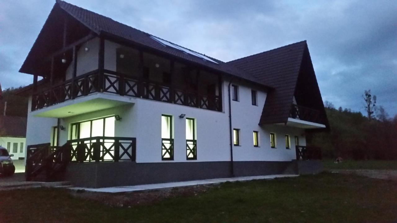 Pensiunea Steaua Nordului Vanatori  Exterior photo