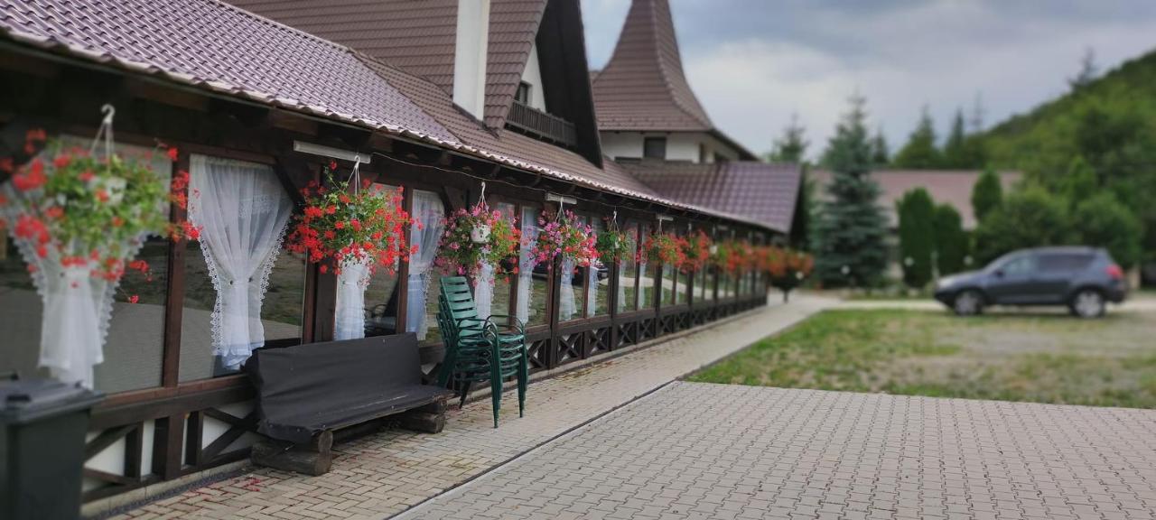 Pensiunea Steaua Nordului Vanatori  Exterior photo