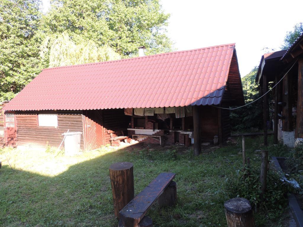 Pensiunea Steaua Nordului Vanatori  Exterior photo