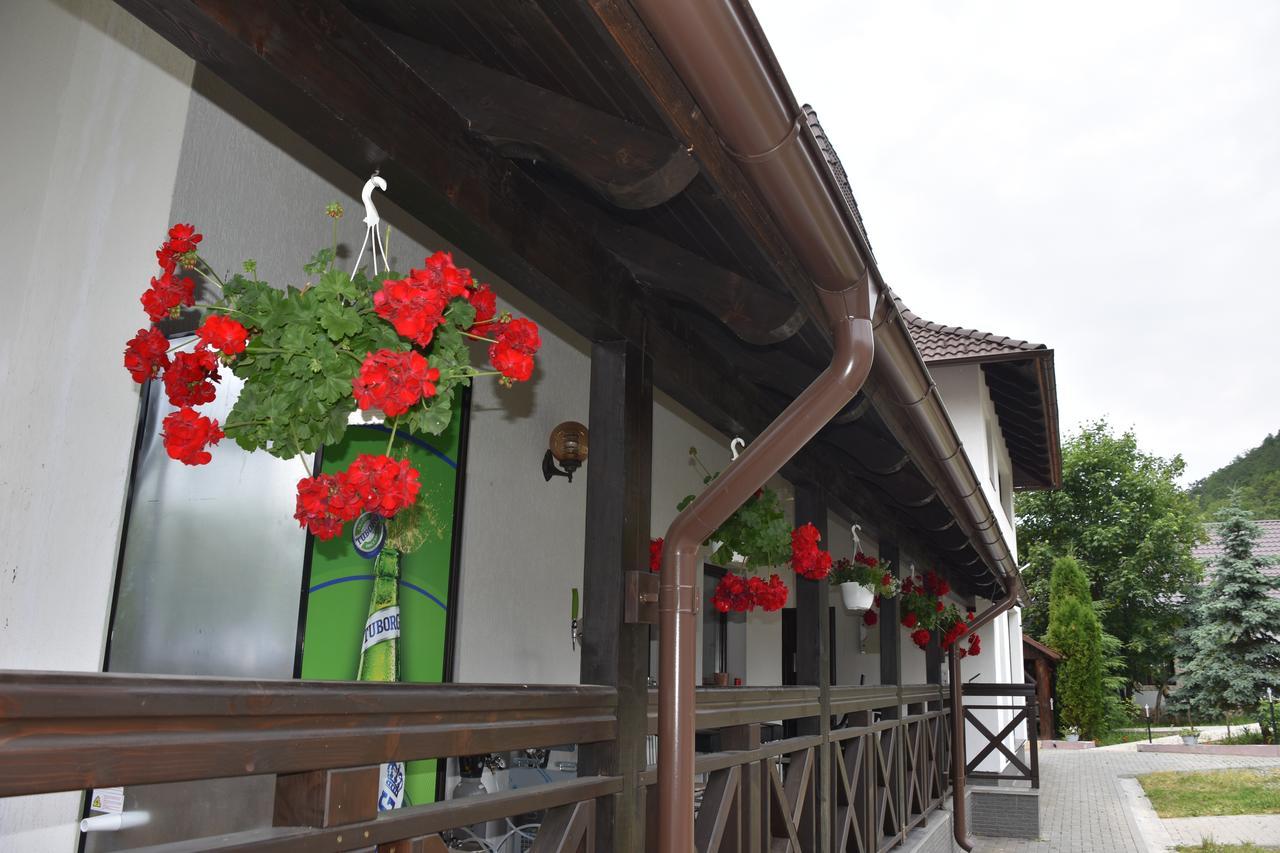 Pensiunea Steaua Nordului Vanatori  Exterior photo