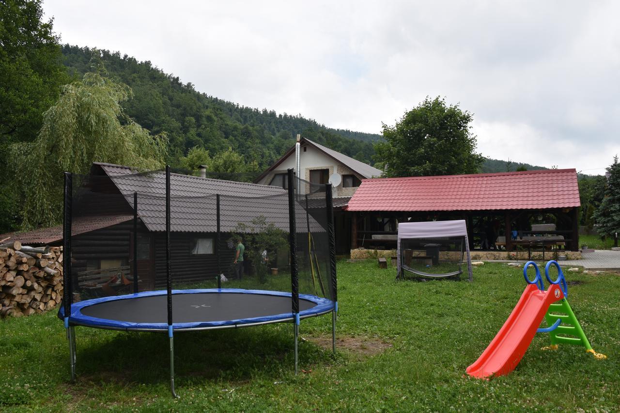 Pensiunea Steaua Nordului Vanatori  Exterior photo