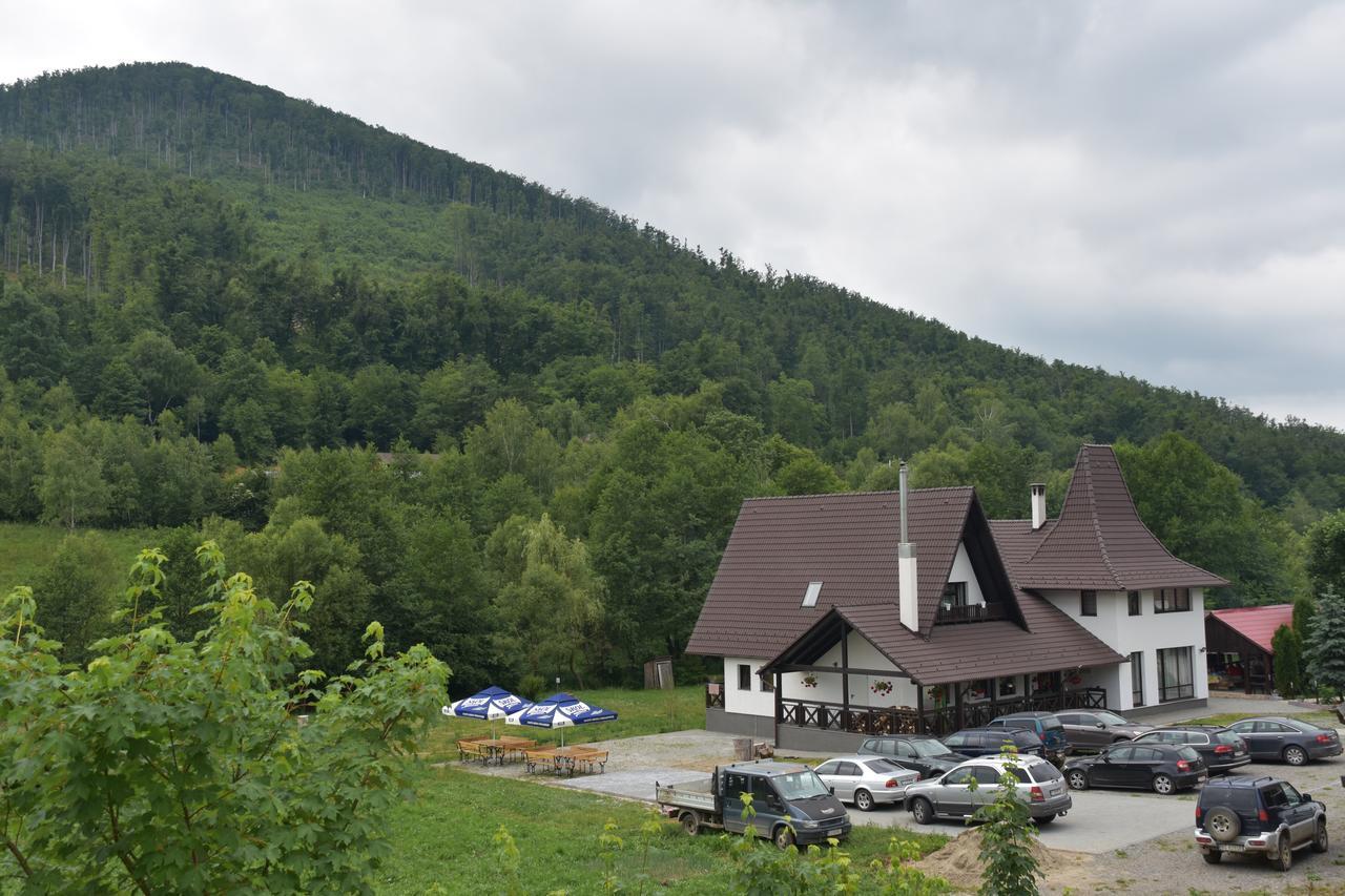 Pensiunea Steaua Nordului Vanatori  Exterior photo